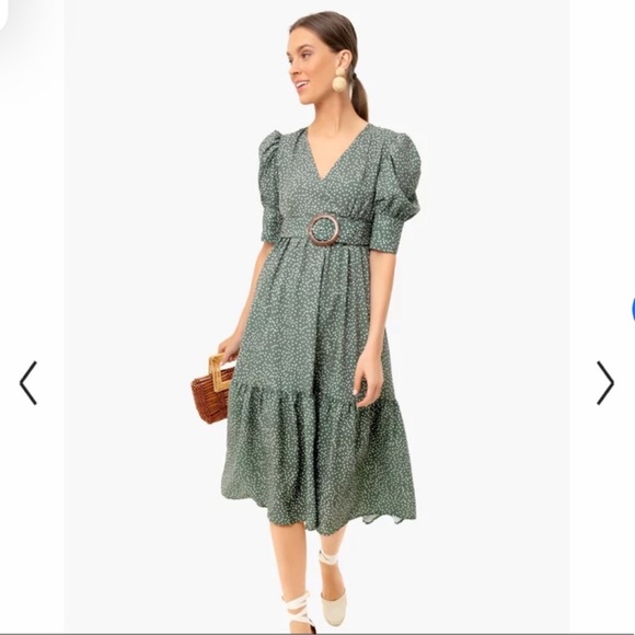 [OPT] Green Papin Dress from Tuckernuck - Picture 5 of 8